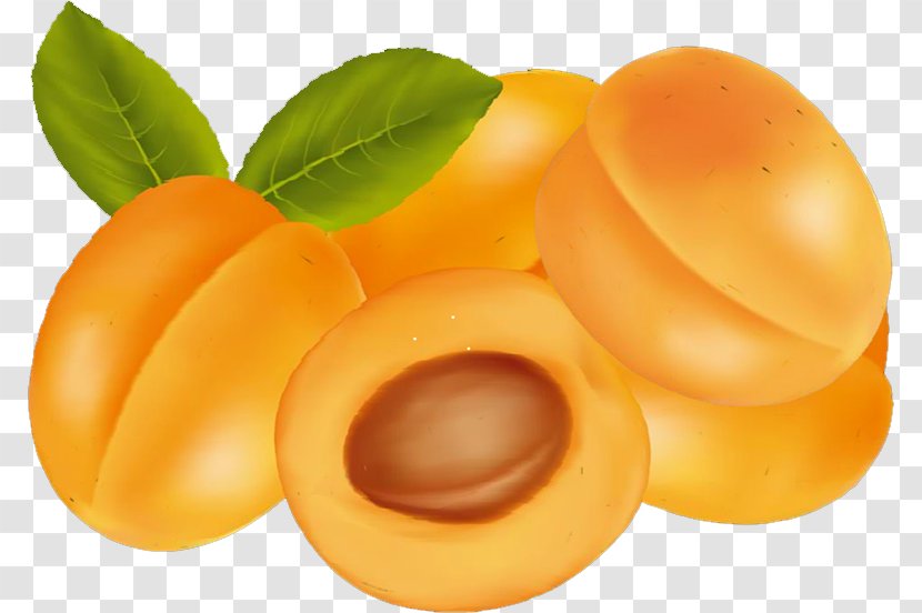 Apricot Fruit Kumquat Food Transparent PNG