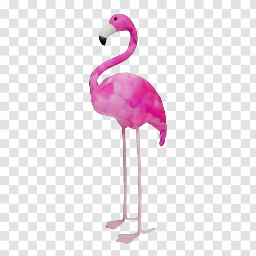 Flamingo - Magenta - Beak Transparent PNG