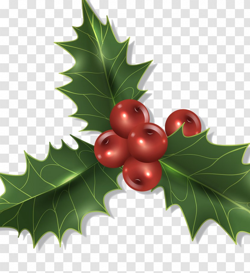 Christmas Decoration Holly - Rgb Color Model - Plant Decorations Transparent PNG