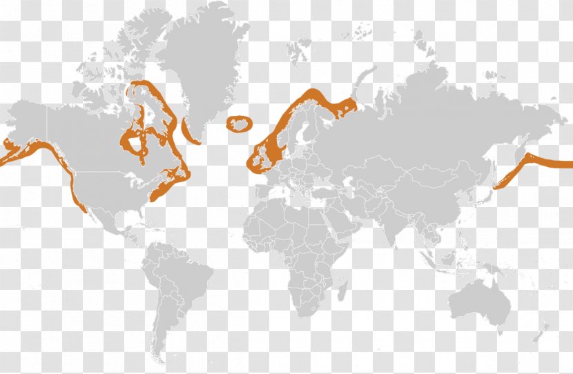 World Map OpenStreetMap - Sky - Harbor Seal Transparent PNG