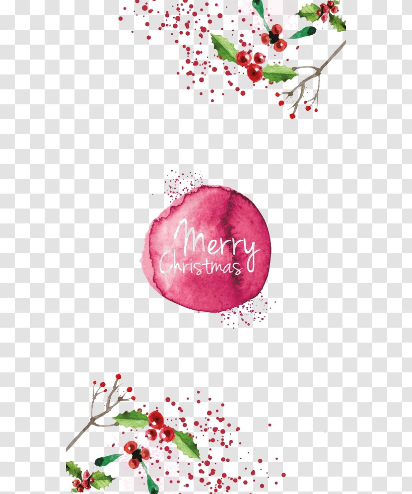 IPhone 4 7 X Christmas Wallpaper - Flower - Red Plants And English Words Transparent PNG