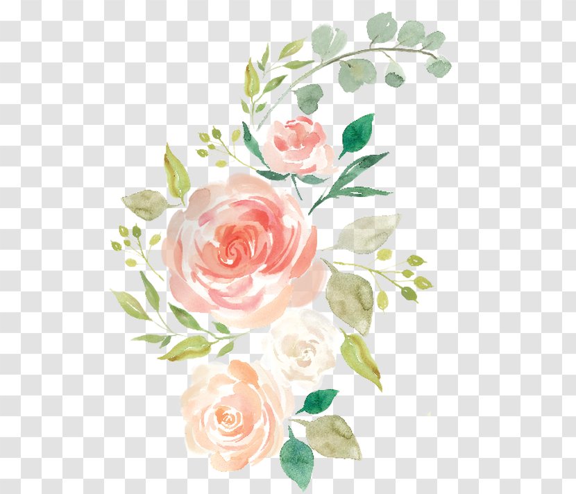Watercolor Painting Clip Art Watercolour Flowers - Garden Roses Transparent PNG