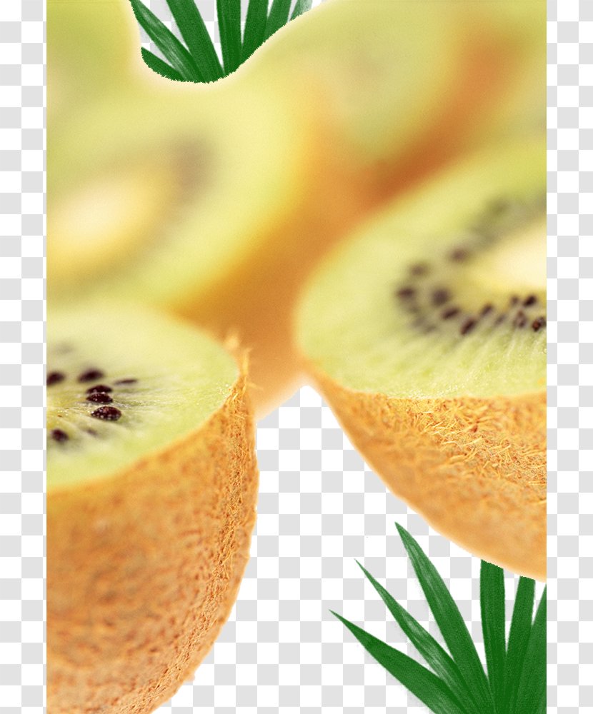 Kiwifruit Auglis - Poster - Kiwi Fruit Cut In Half Creative Transparent PNG