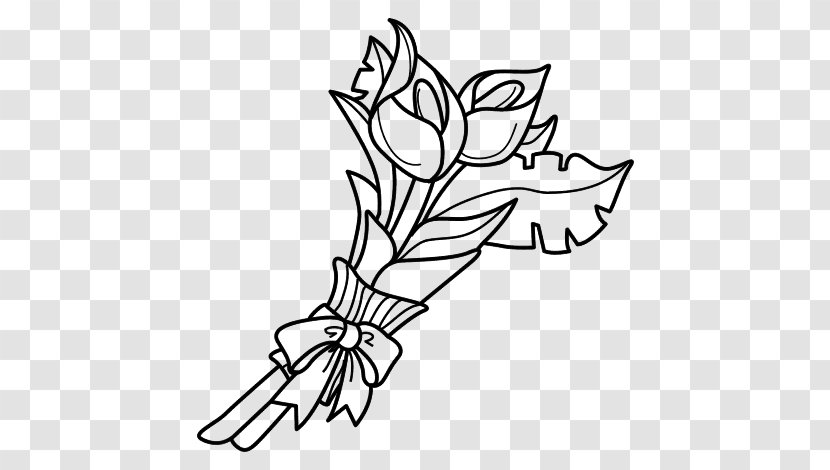 Coloring Book Drawing Arum-lily Flower Lilium Transparent PNG