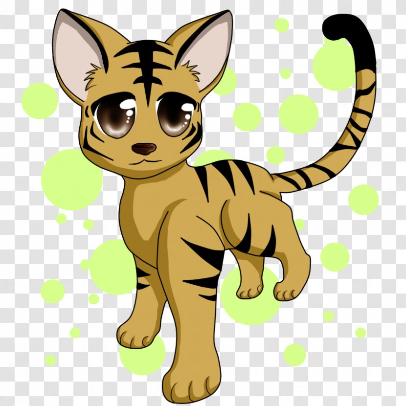 Whiskers Kitten Lion Cat Mammal - Tail - Dragon And Tiger Transparent PNG