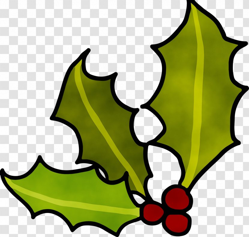 Holly - Tree - American Plane Transparent PNG