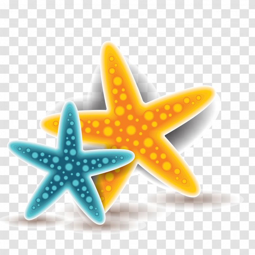 Starfish Euclidean Vector - Space - Colored Transparent PNG