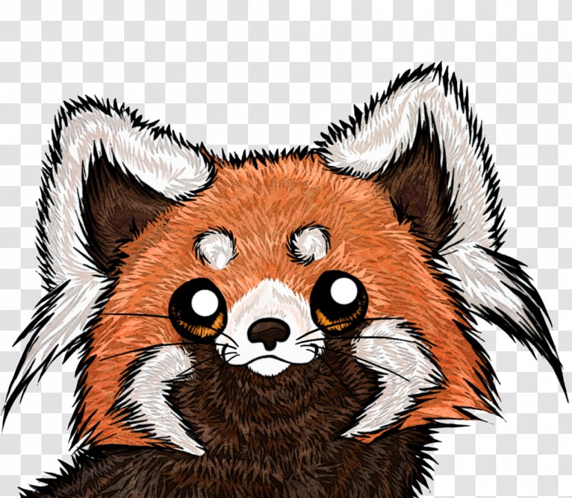 Giant Panda Red Fox Raccoon Drawing - Fauna Transparent PNG