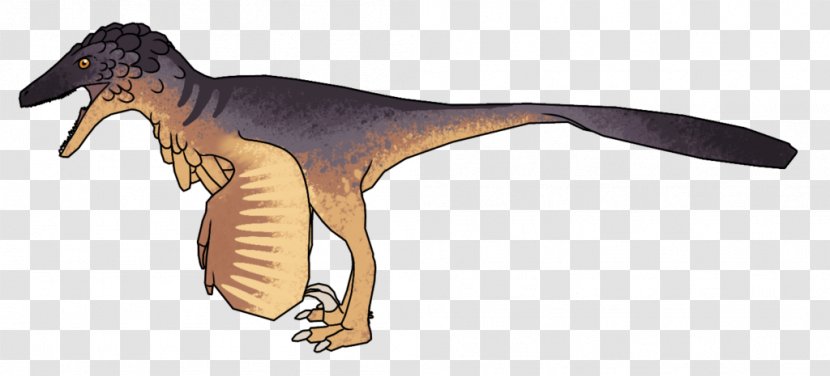 Velociraptor Tyrannosaurus Animal - Dinosaur - Killer Whale Transparent PNG
