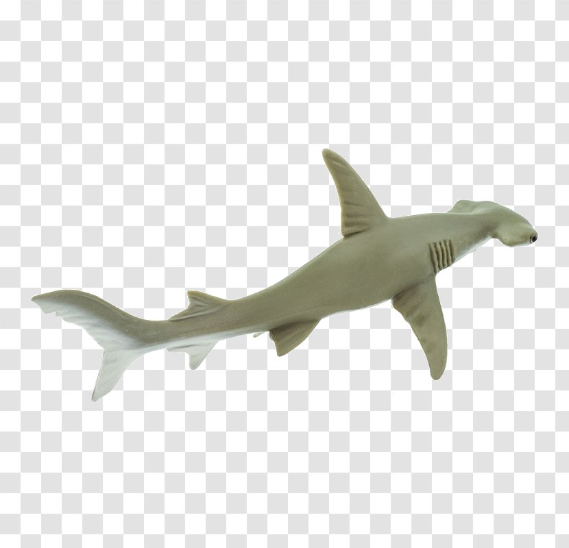 Requiem Sharks Hammerhead Shark Great Scalloped - Smooth Transparent PNG