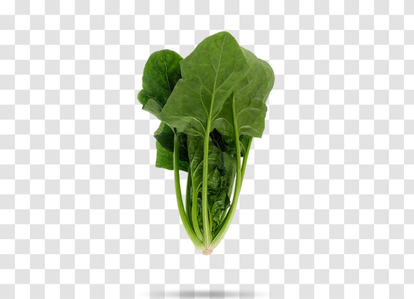 Spinach Leaf Vegetable Food Komatsuna Transparent PNG