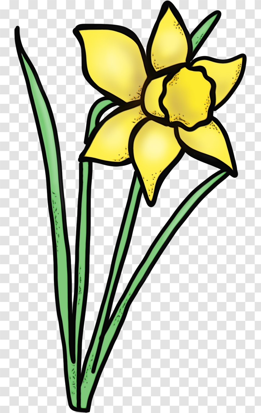 Flower Yellow Clip Art Plant Pedicel - Narcissus - Flowering Stem Transparent PNG
