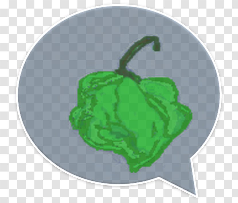 Green Leaf - Organism Transparent PNG