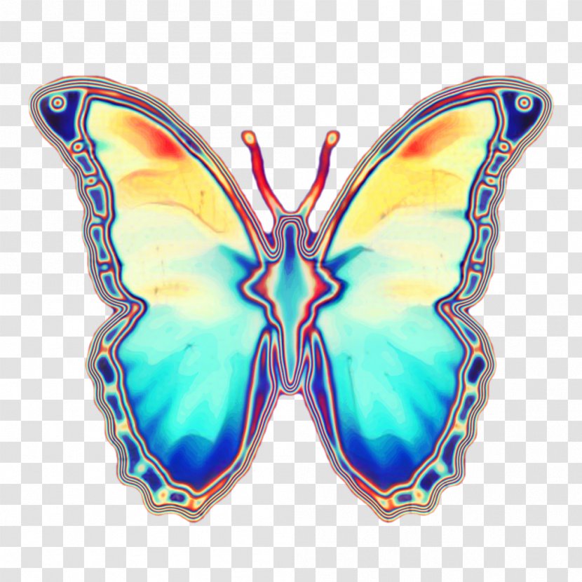 Monarch Butterfly - Insect - Emperor Moths Brooch Transparent PNG