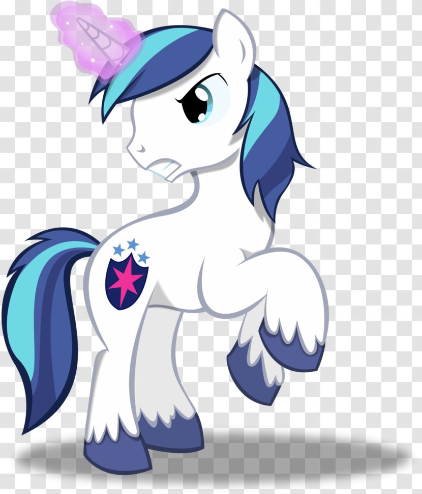Twilight Sparkle Princess Cadance Pony Armour - Frame - Shinning Transparent PNG