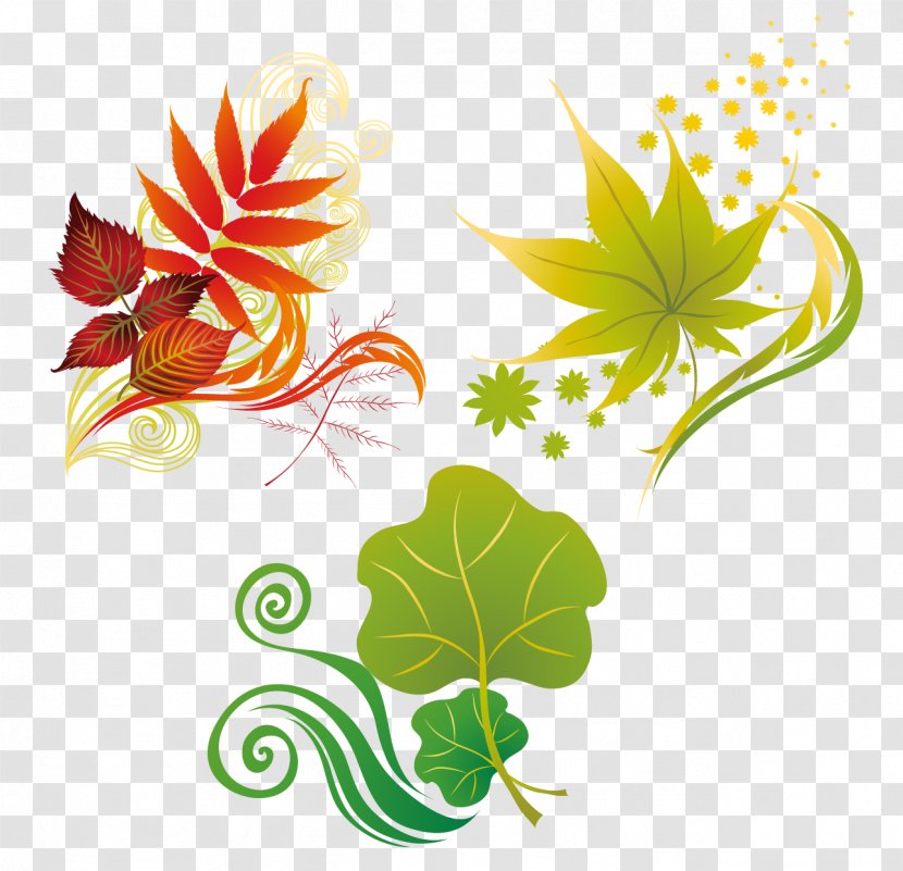 Leaf Autumn - Maple - Cartoon Leaves Transparent PNG