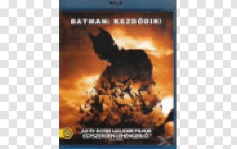 Blu-ray Disc Batman Carmine Falcone DVD Film - Dvd Transparent PNG