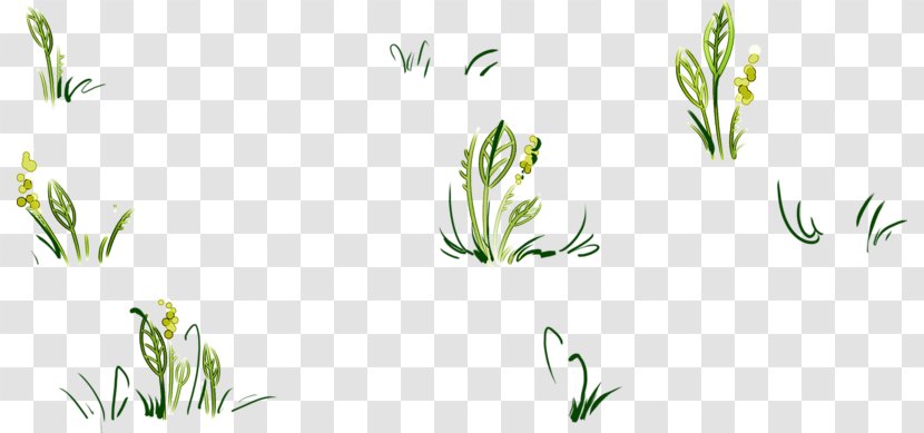 Floral Design Grasses Pattern - Flora - Green Background Material Transparent PNG