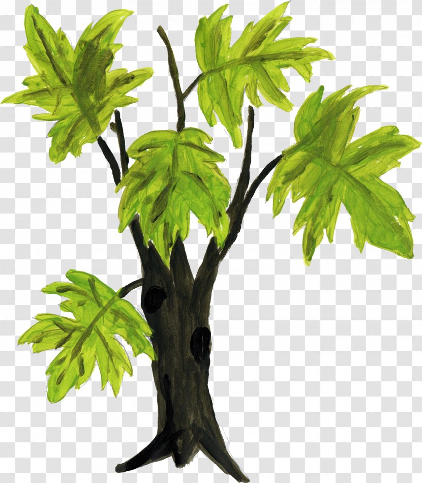 Tree Drawing Sketch - Plant - Transparent Transparent PNG
