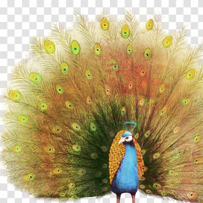 Paper Oil Painting Peafowl - Peacock Transparent PNG