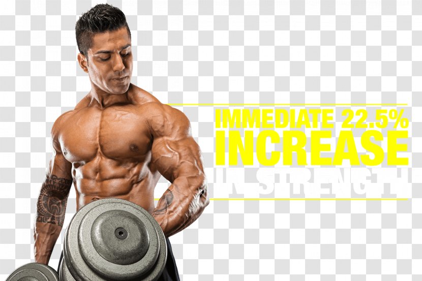 Muscle Hypertrophy Bodybuilding Physical Fitness Protein - Flower Transparent PNG