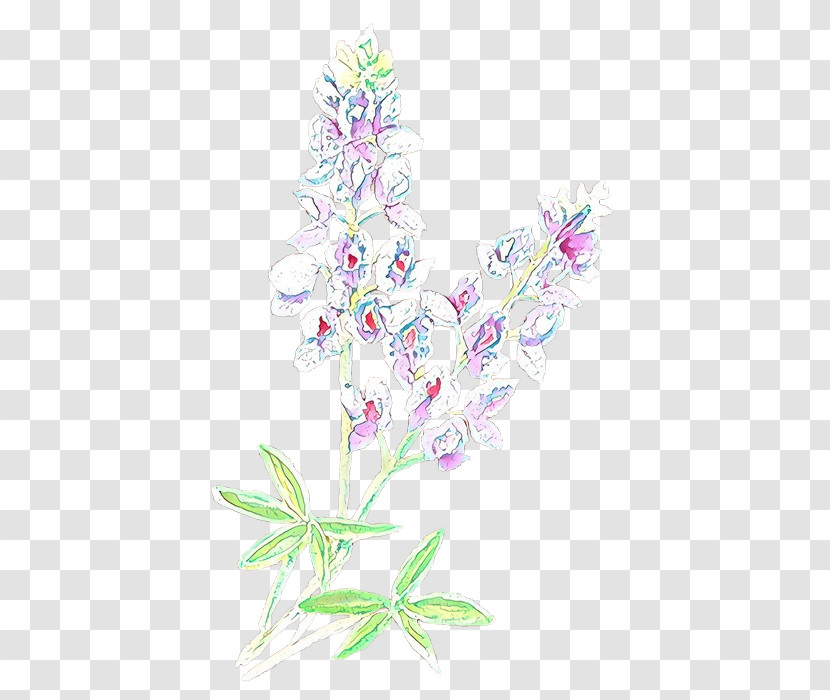 Flower Plant Pink Pedicel Delphinium Transparent PNG