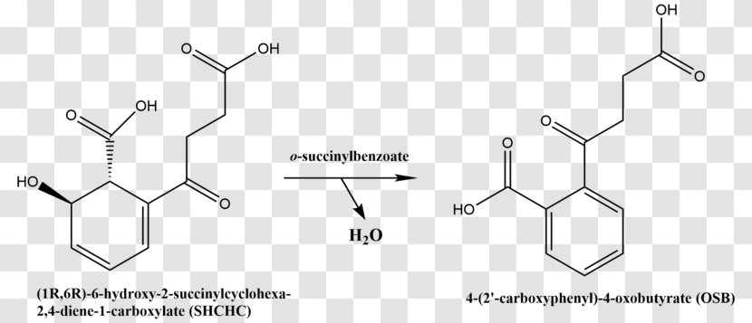 Metabolite KEGG Structure Saquayamycins Disease - Area - Chemical Reaction Transparent PNG