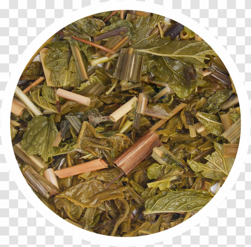 Nilgiri Tea Hōjicha Ingredient Plant - Bancha - Infusions Transparent PNG