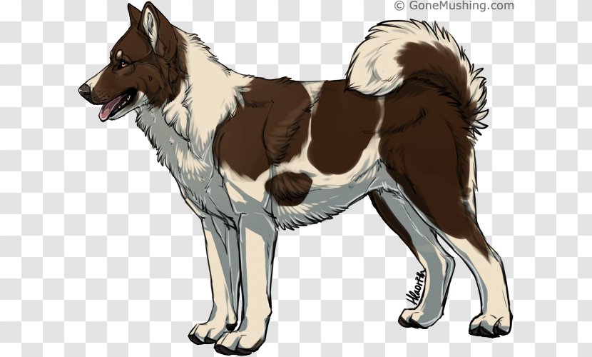 Seppala Siberian Sleddog East Laika Karelian Bear Dog Greenland Canaan - Samoye Transparent PNG