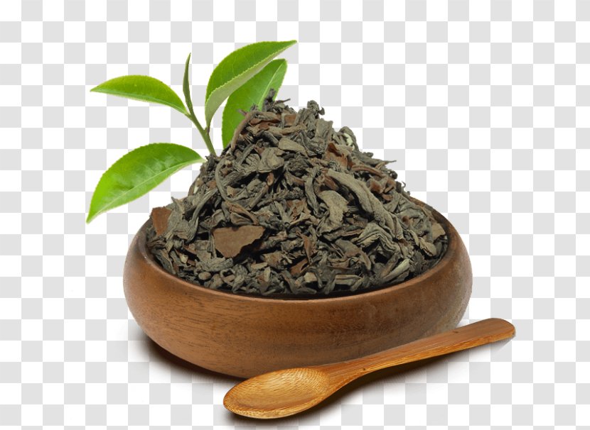 Nilgiri Tea Hōjicha Darjeeling Green - Chun Mee Transparent PNG