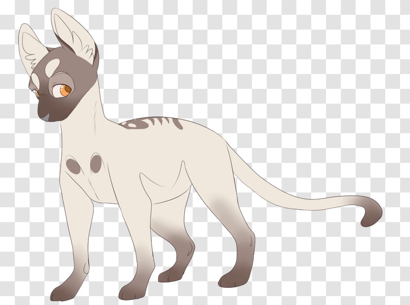 Whiskers Kitten Cat Canidae Dog - Animal Figure Transparent PNG