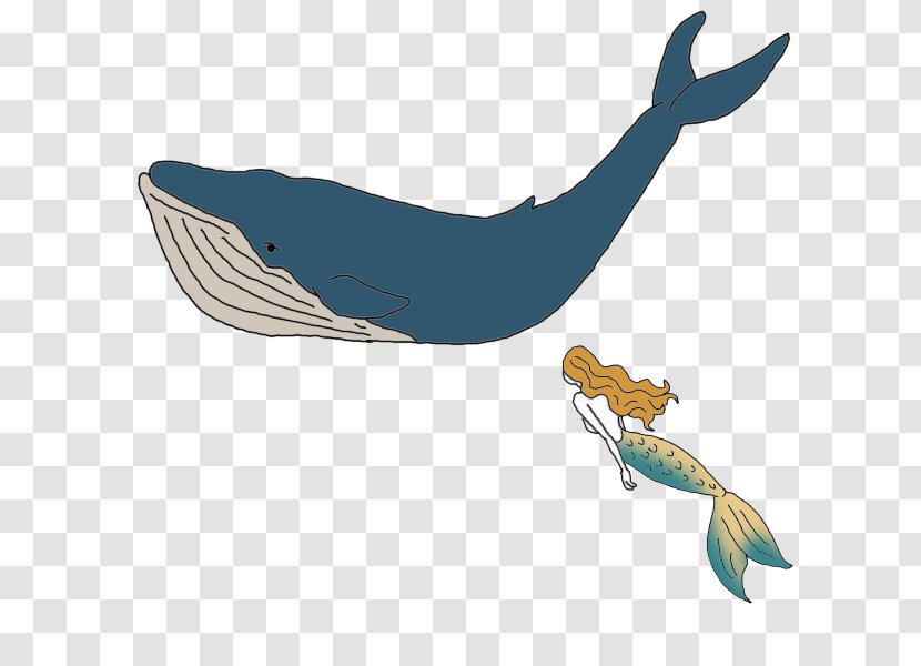 Dolphin Whale Vocalization Porpoise Symbol - Humpback Transparent PNG
