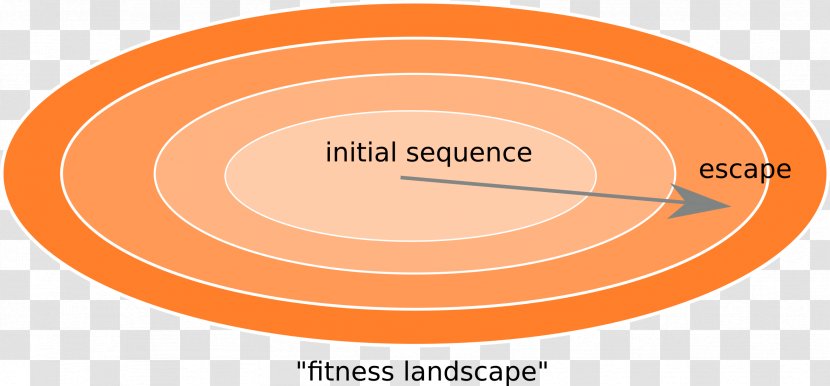 Mutation Rate Viral Evolution Fitness Landscape - Immune System Transparent PNG