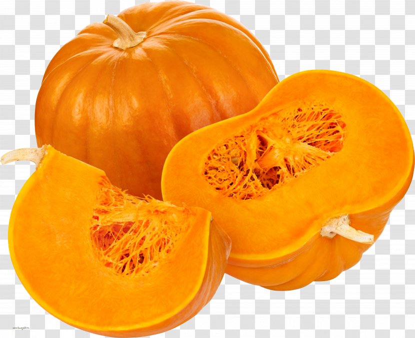 Pumpkin Pie Cucurbita Maxima Organic Food - Squash Transparent PNG