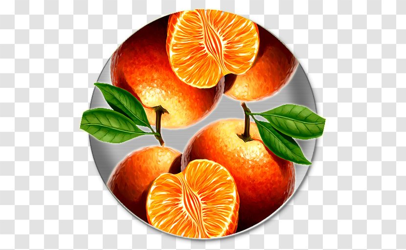 Mandarin Orange Tangerine Blood Grapefruit Bitter - Still Life - Exam Transparent PNG