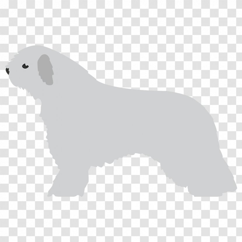 Dog Breed Non-sporting Group Bear (dog) - Mammal Transparent PNG