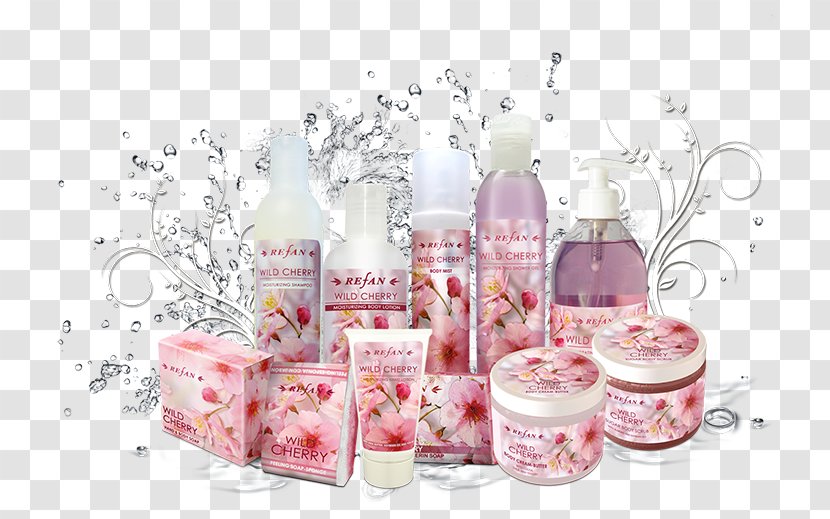 Cosmetics Cherry Blossom Refan Bulgaria Ltd. Moroccan Cuisine - Love Transparent PNG