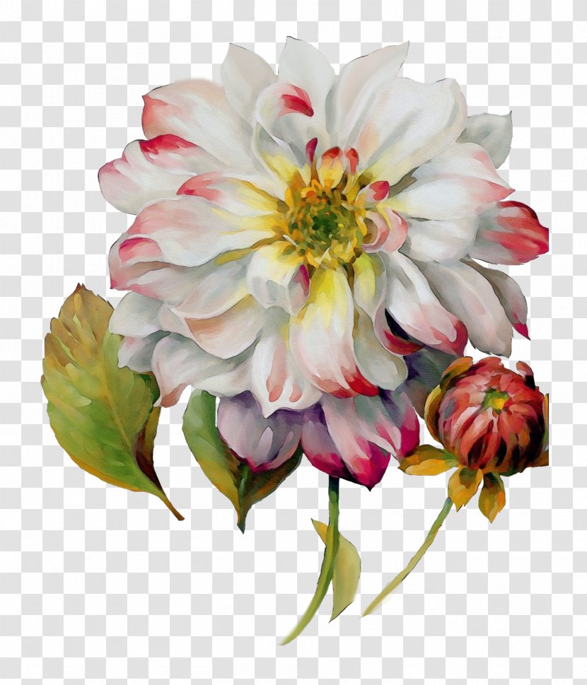 Decoupage Watercolor Painting Floral Design Art - Drawing - Flowering Plant Transparent PNG
