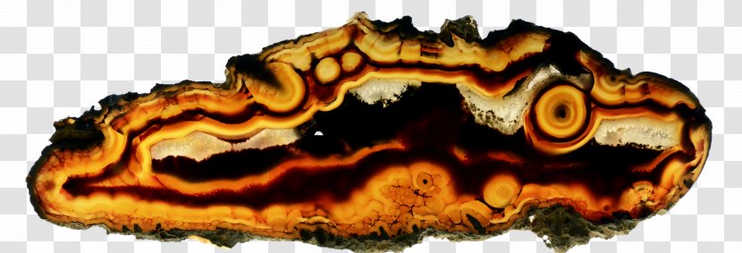 Agate Mineral Gemstone Quartz - Petrifaction Transparent PNG