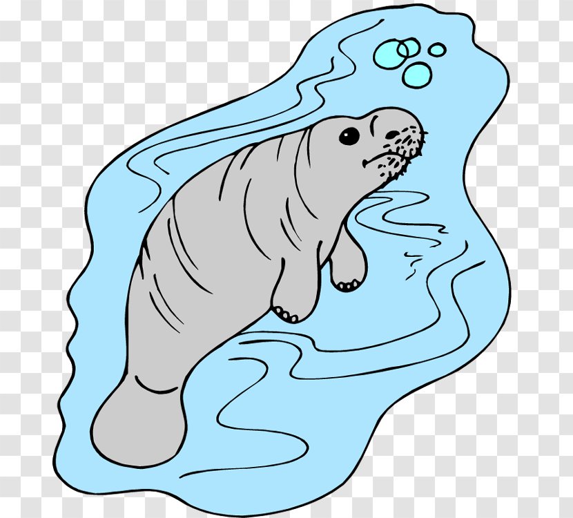 West Indian Manatee African Coloring Book Clip Art - Fish - Dog Like Mammal Transparent PNG
