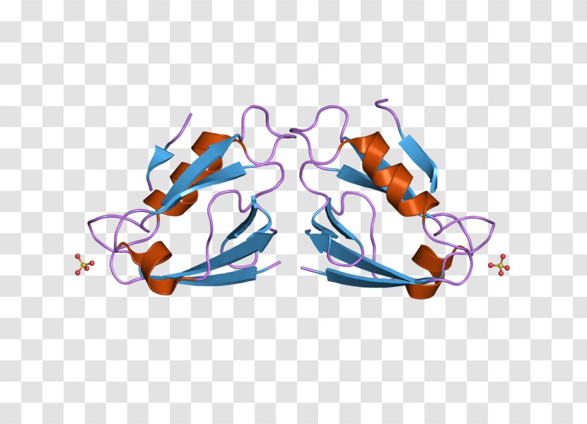 MAGI1 Membrane-associated Guanylate Kinase PDZ Domain Glasses - Watercolor - Cartoon Transparent PNG