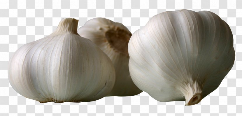 Garlic Vegetable Condiment - Barbecue - Garlics Transparent PNG