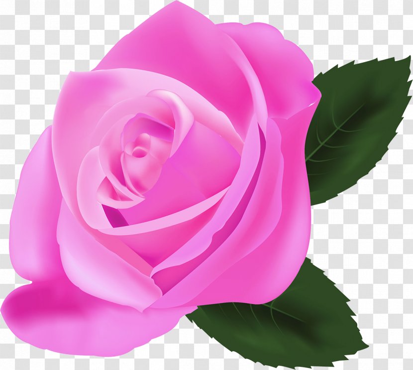 Rose Pink Flowers Photorealism - Magenta - Lilac Transparent PNG