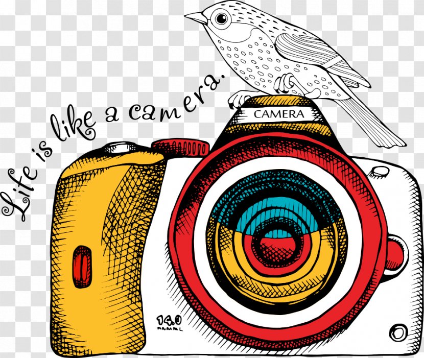 Drawing Illustration - Watercolor Painting - Cameras And Hand-painted Birds Vector Transparent PNG