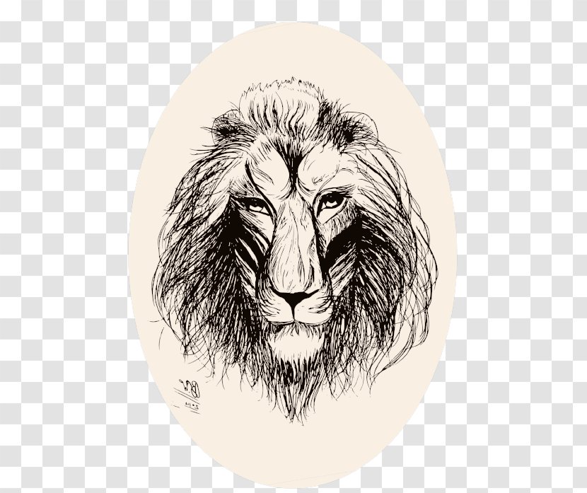 Lion Roar Big Cat Sketch - Mammal - Illustrator Transparent PNG