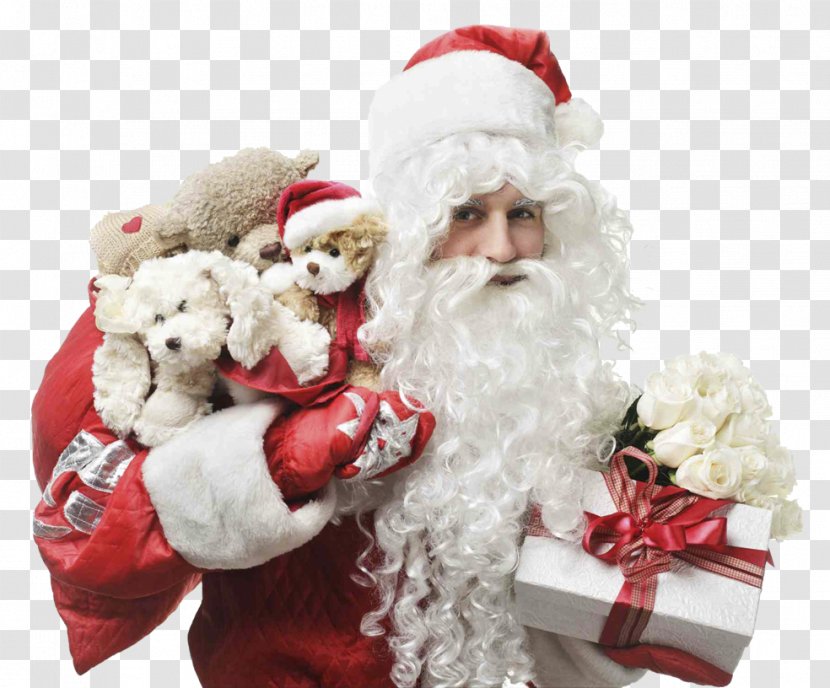 Ded Moroz Snegurochka Gift New Year Ziuzia - Holiday Transparent PNG