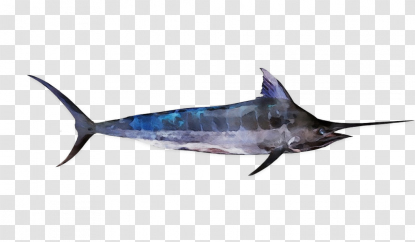 Bony Fishes Swordfish Sharks Dolphin Fish Transparent PNG