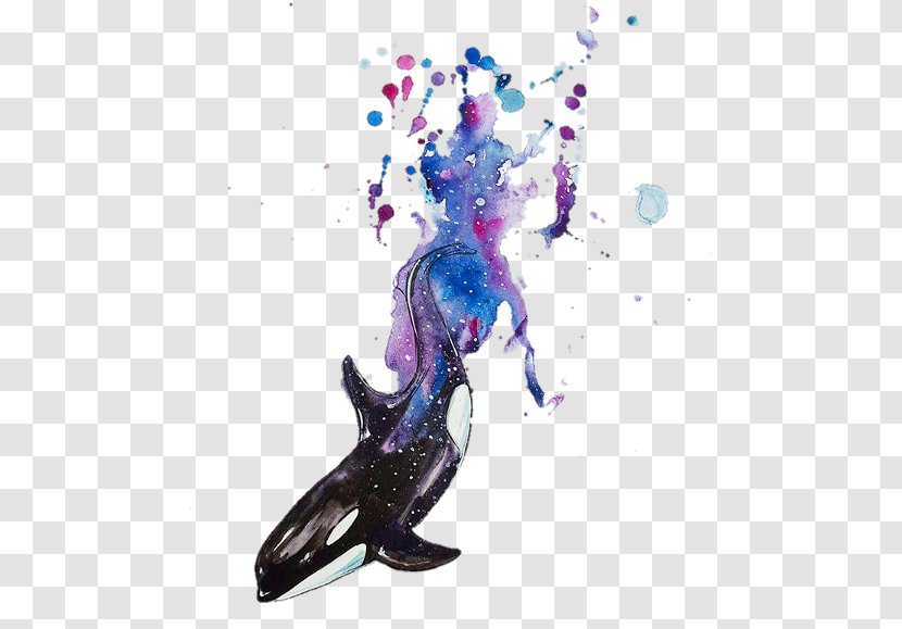 Watercolor Painting Killer Whale Art - Mural Transparent PNG