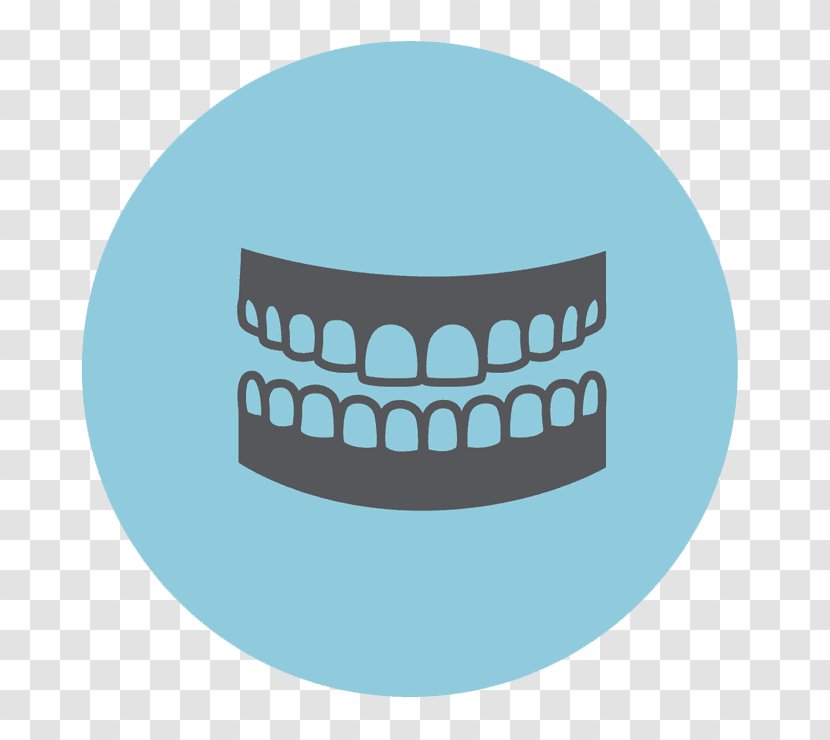 Dentistry Jaw Human Tooth The Orthodontic Clinic Pte. Ltd. - Dentist - May Cause Dental Caries Transparent PNG