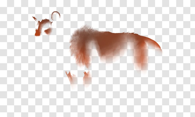 Lion Dog Felidae Hunger Snout - Mouth Transparent PNG
